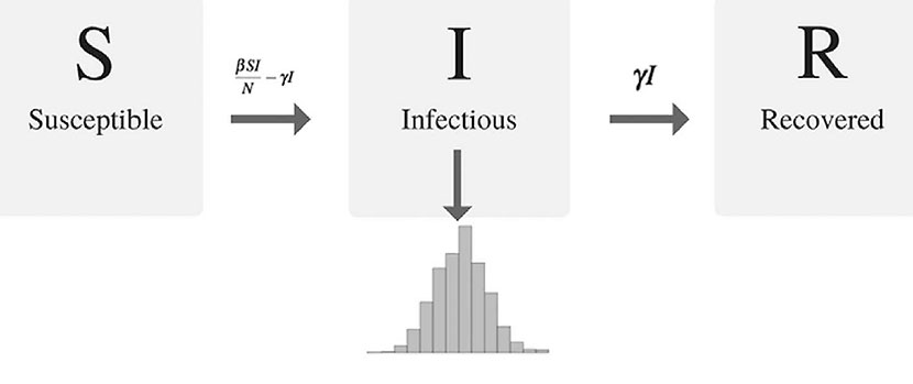 Susceptible – Infectious – Recovered (SIR) model